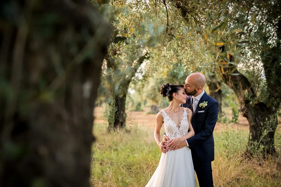Sposo che bacia la sposa sulla fronte in un uliveto a Lamezia Terme